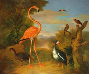 Flamenco y otras aves en un paisaje